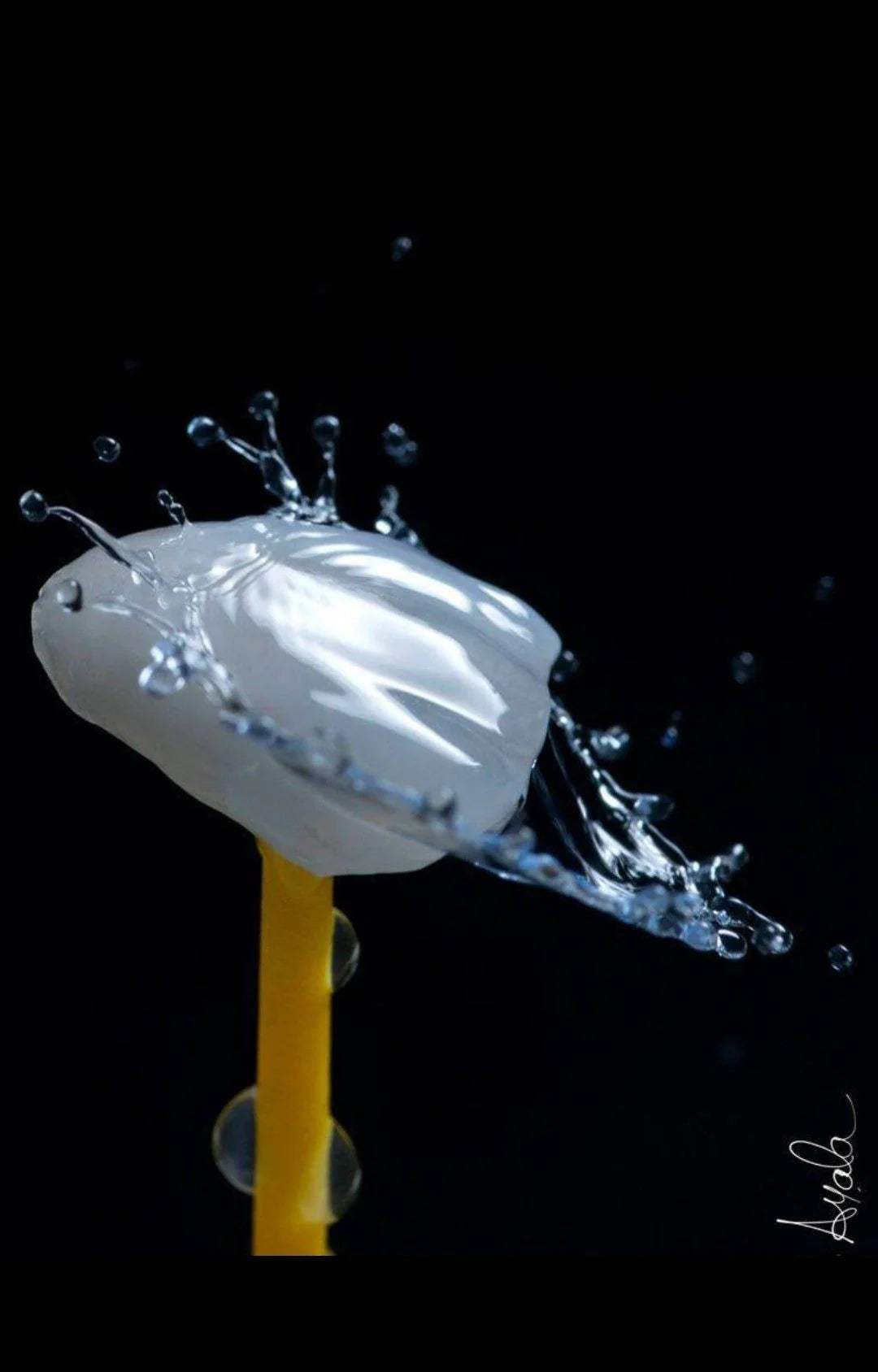 Mặt dán sứ Veneer